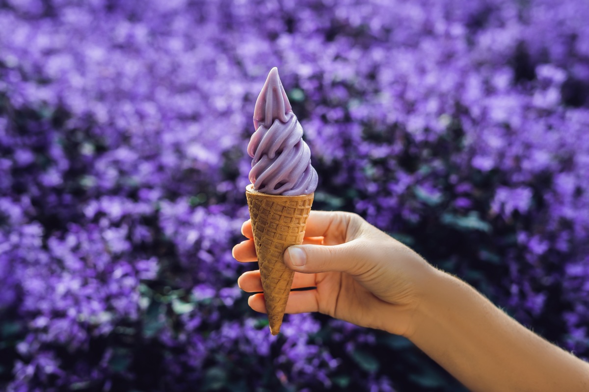 Cánh đồng oải hương Furano, Hokkaido - Đồi tím và cánh đồng hoa tuyệt đẹp