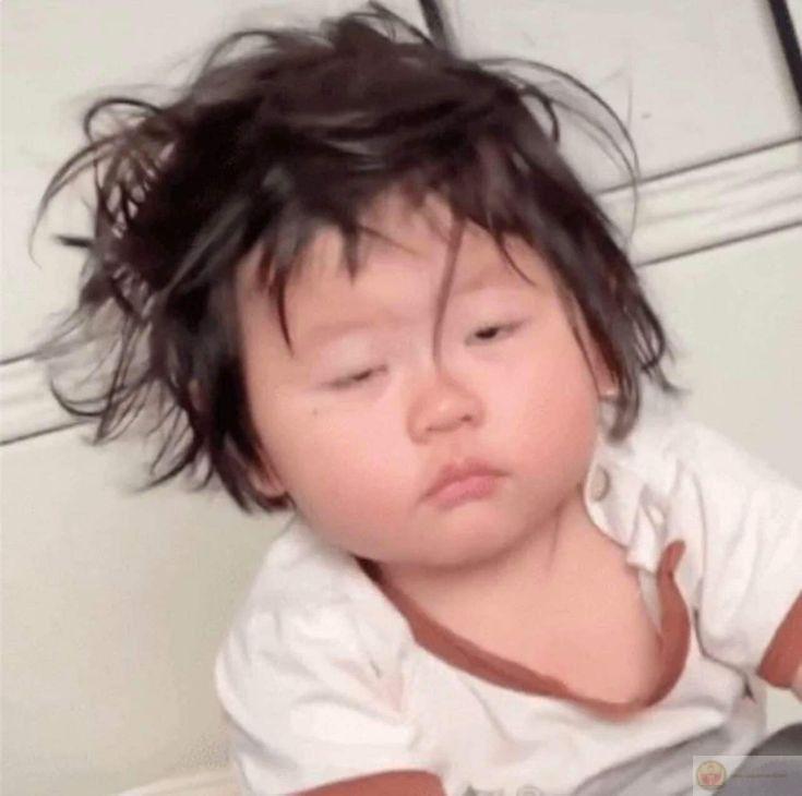 Meme mệt mỏi dễ thương giúp group chat trở nên rộn ràng với nhiều tiếng cười vui