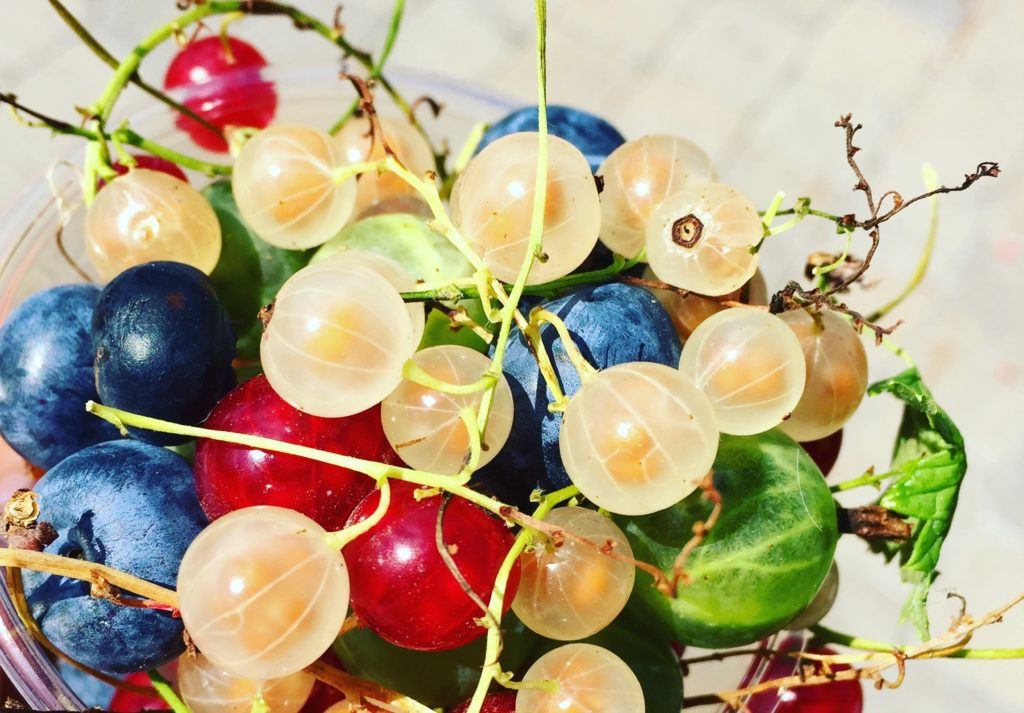 Antioxidants