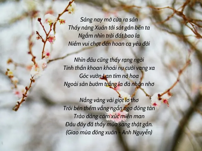 thơ hay mùa đông 8