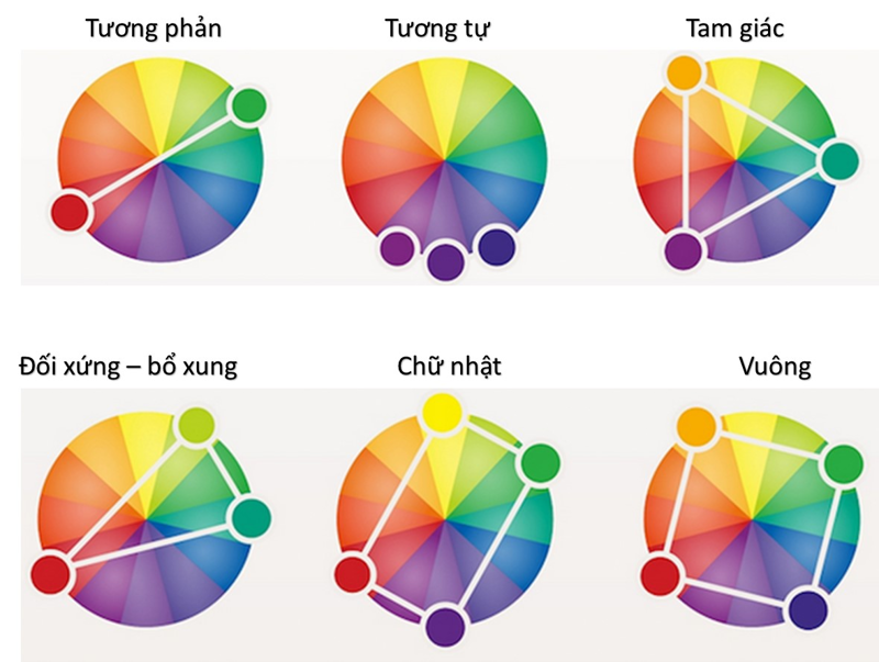 Gợi ý bảng màu phối đồ theo sắc độ da (Nguồn: Internet)