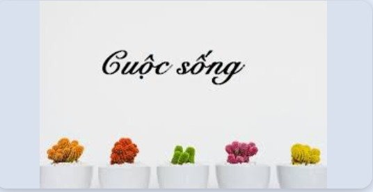 Đạo đức bình dân