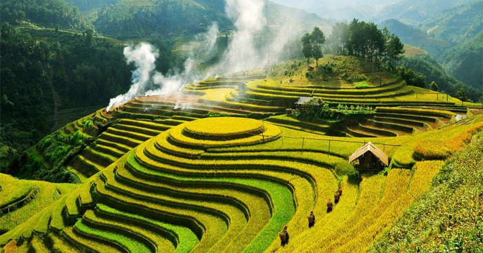 Văn mẫu lớp 12: Cảm nhận bài thơ Việt Bắc của Tố Hữu (2 Dàn ý + 11 Mẫu)                                   Cảm nhận Việt Bắc hay nhất