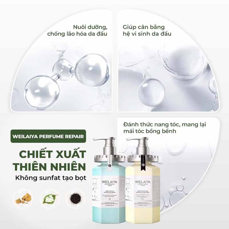 Công dụng Dầu gội xả phục hồi đa tầng Weilaiya chiết xuất nấm Truffle