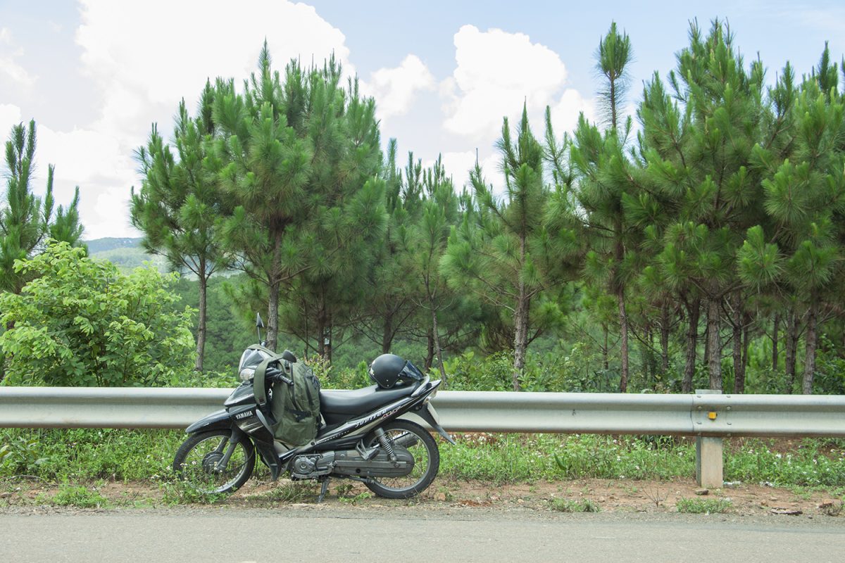 Lữ khách độc hành không cô độc