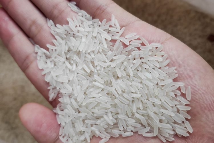 Gạo quê ngon sạch – Gạo tẻ quê Phú Thọ