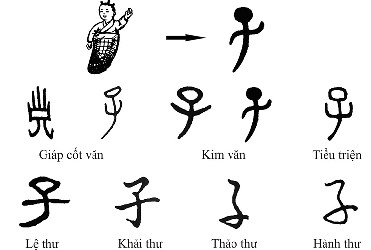 Nguồn gốc của Hán tự - Từ giáp cốt văn đến chữ Hán hiện đại