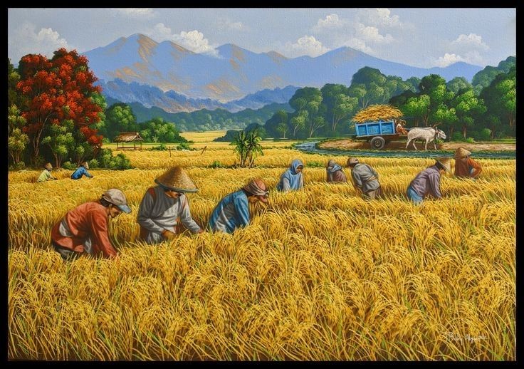 Hình nền quê hương việt nam với cảnh người cắt lúa truyền thống