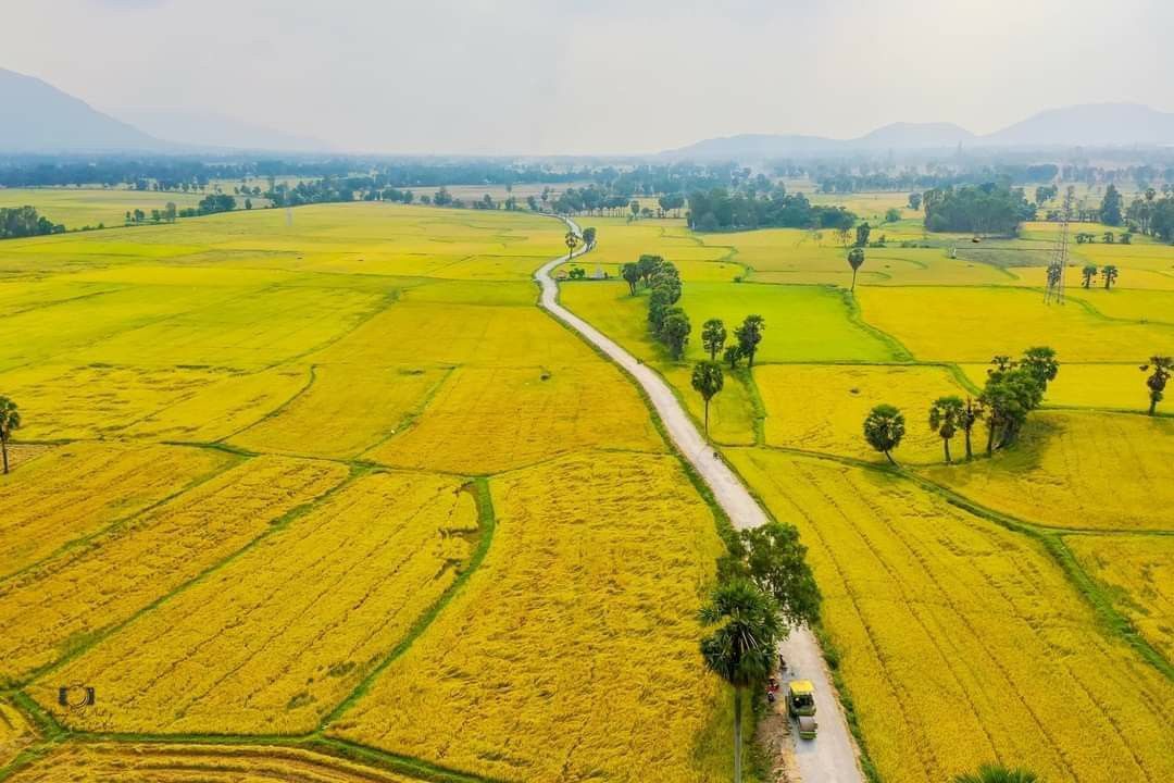 200+ ảnh đồng quê yên bình, đẹp như tranh vẽ cực chill ở Việt Nam