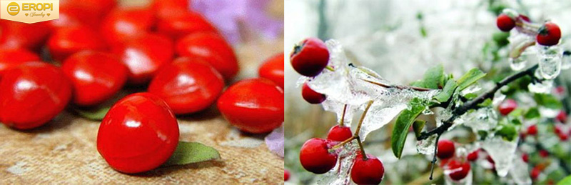 Những hạt hồng đậu với sắc đỏ tươi.