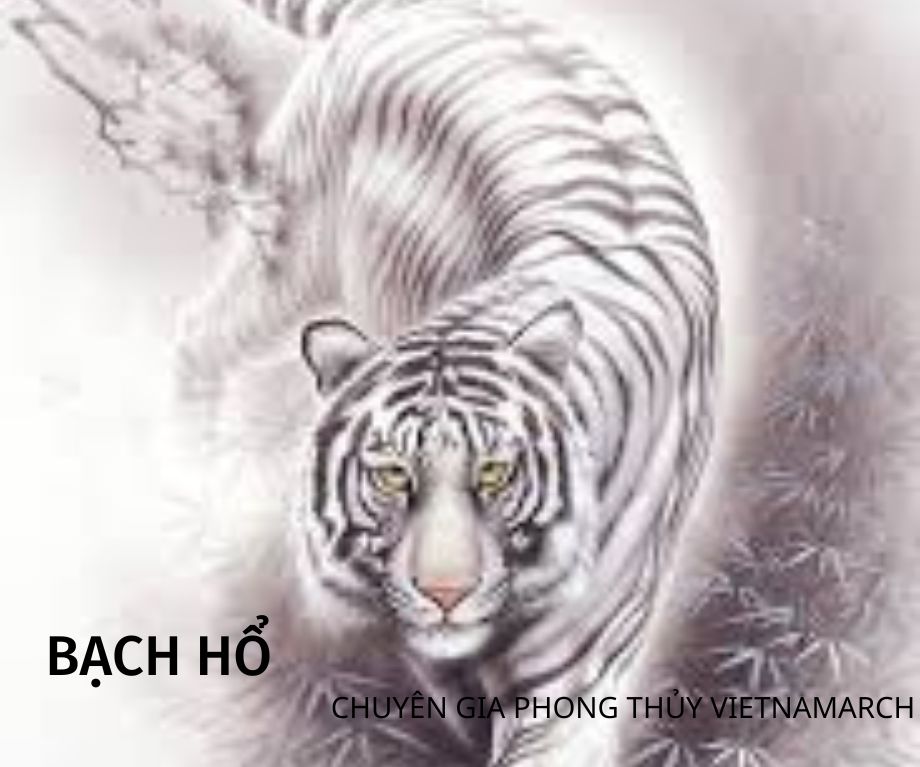 Ý nghĩa Tứ tượng-Thanh long Bạch hổ Chu tước Huyền vũ trong phong thủy > Ý nghĩa Thanh long Bạch hổ Chu tước Huyền vũ trong phong thủy