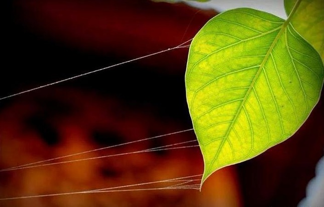 Góc khuất