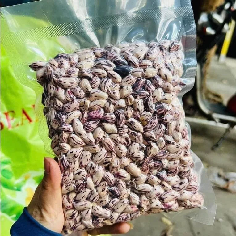 Lạc Hoa Mèo, Lạc Vằn Pa Dí Tây Bắc
