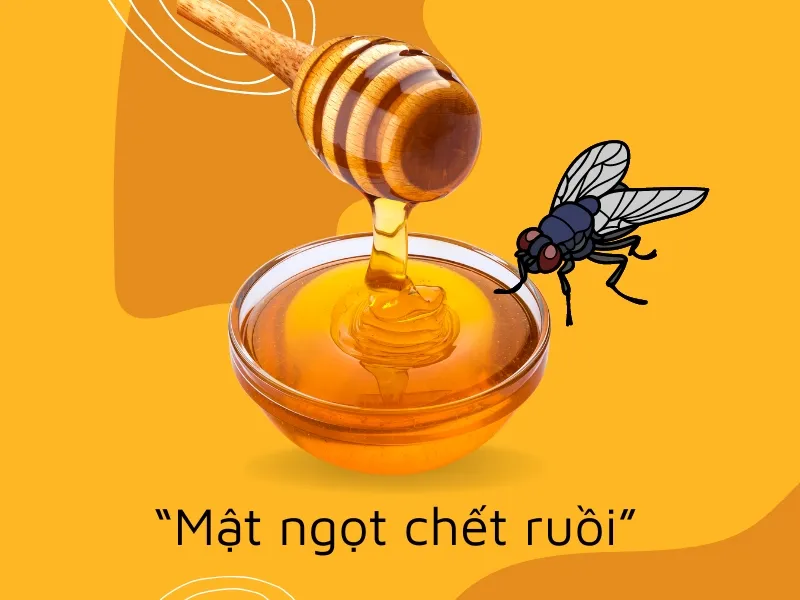 Giải thích thành ngữ “Mật ngọt chết ruồi” nghĩa là gì?