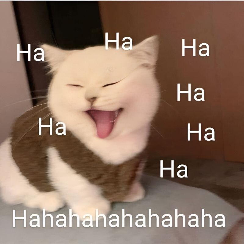 Meme cười theo sắc thái biểu cảm