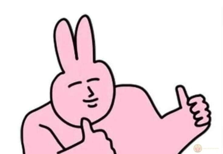 Meme thỏ hồng like