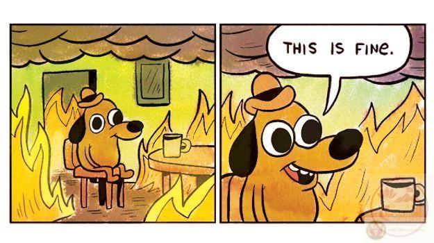 This is fine là gì