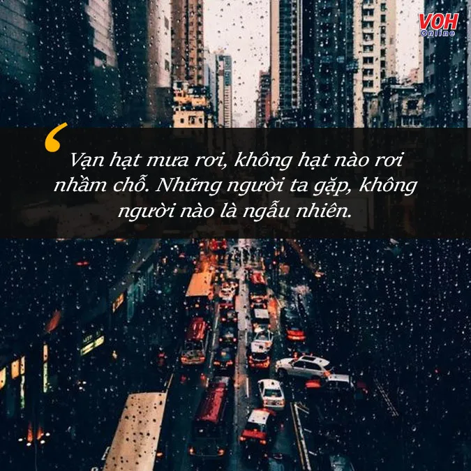 121 status mưa buồn, cap về mưa ý nghĩa