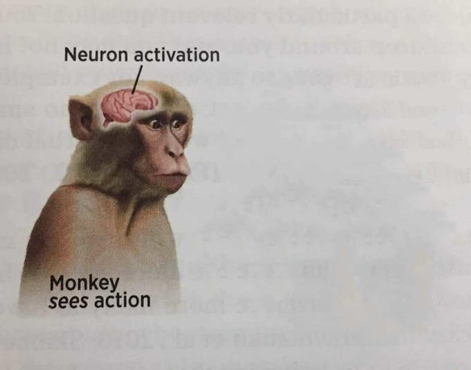 Know Your Meme