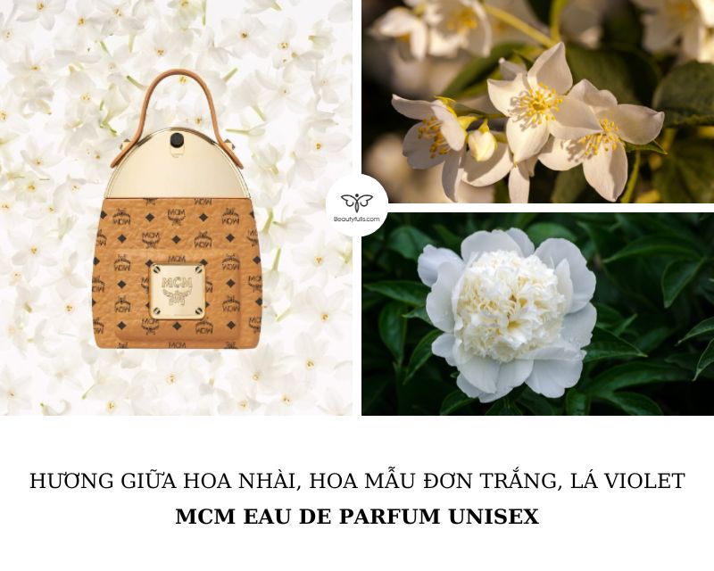 mcm-edp