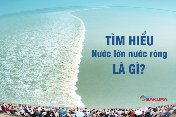 [GIẢI ĐÁP] Nước Lớn Nước Ròng Là Gì? Lợi Ích Và Tác Hại