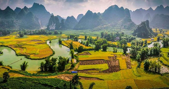 Phân tích khổ cuối bài Đất nước Nguyễn Đình Thi (2 Dàn ý + 4 Mẫu)                                   Phân tích đoạn cuối Đất nước