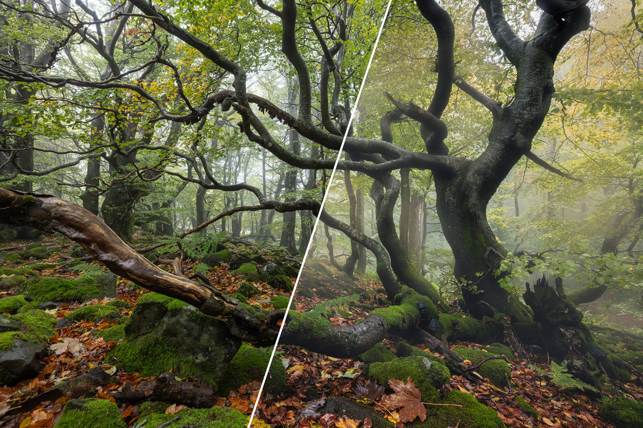 Best Plugins For Photoshop