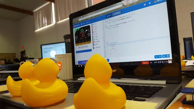 Rubber Ducking – Kỹ thuật Debug thượng thừa
