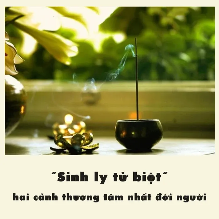 Sinh ly tử biệt là gì? Top bài thơ, câu nói hay về sinh ly tử biệt