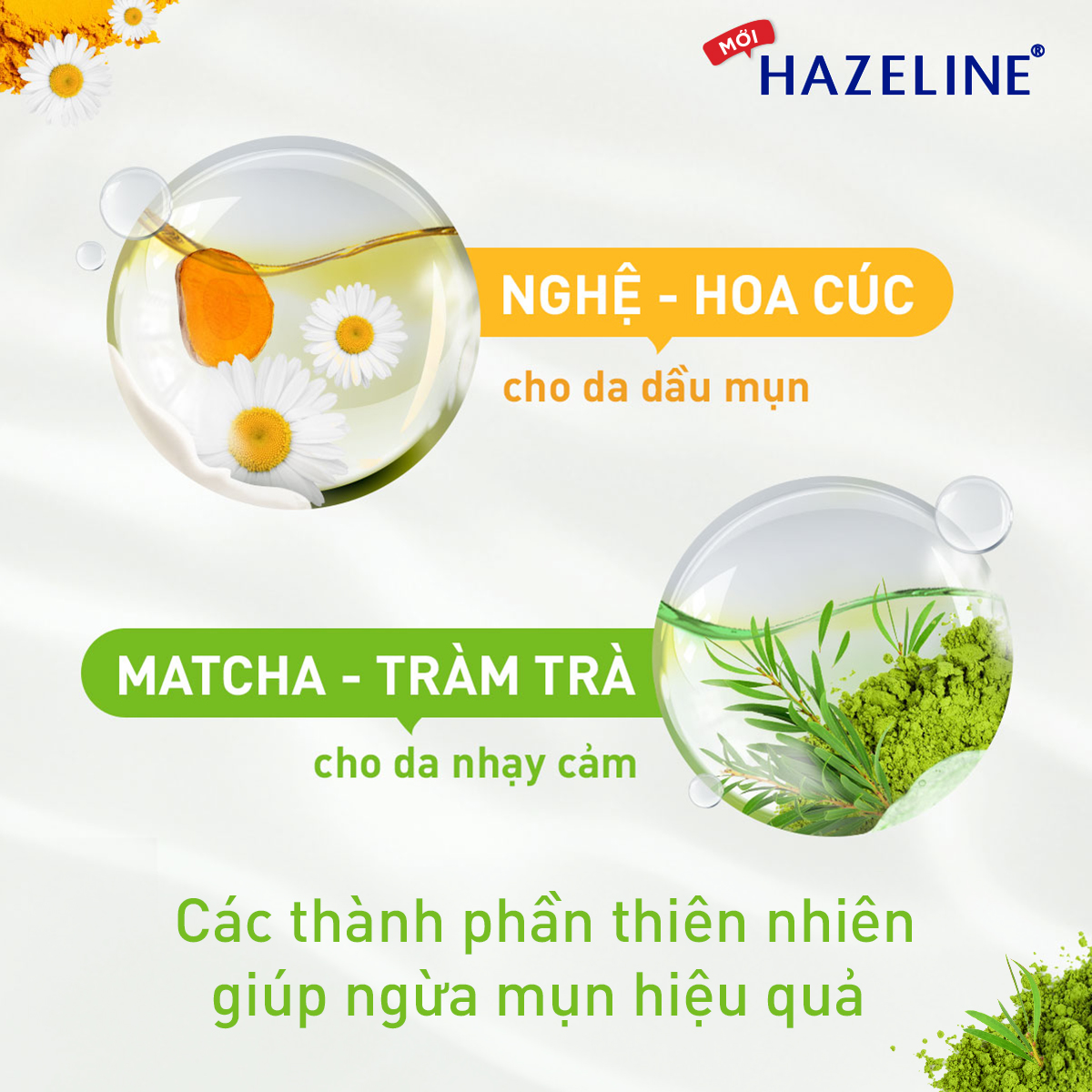 sua rưa mat hazeline