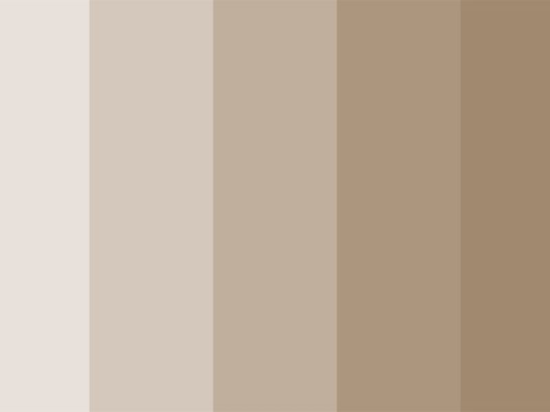 Taupe là màu gì? Khám phá 10 cách phối đồ cực đỉnh với sắc màu này