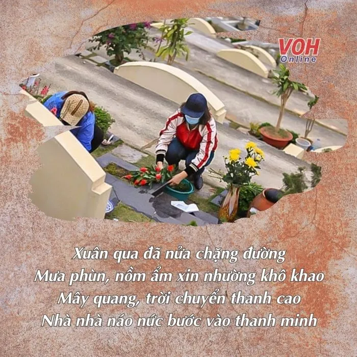 voh-tho-thanh-minh-1