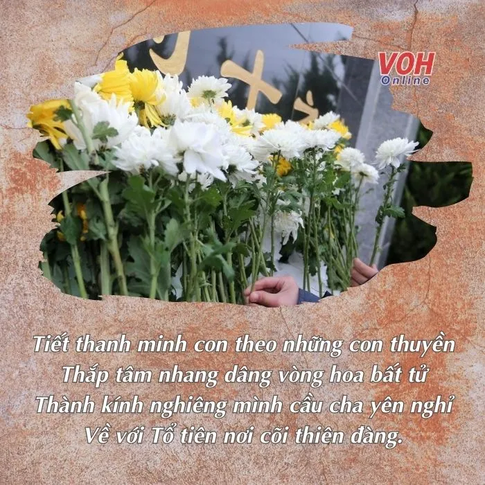 voh-tho-thanh-minh-2