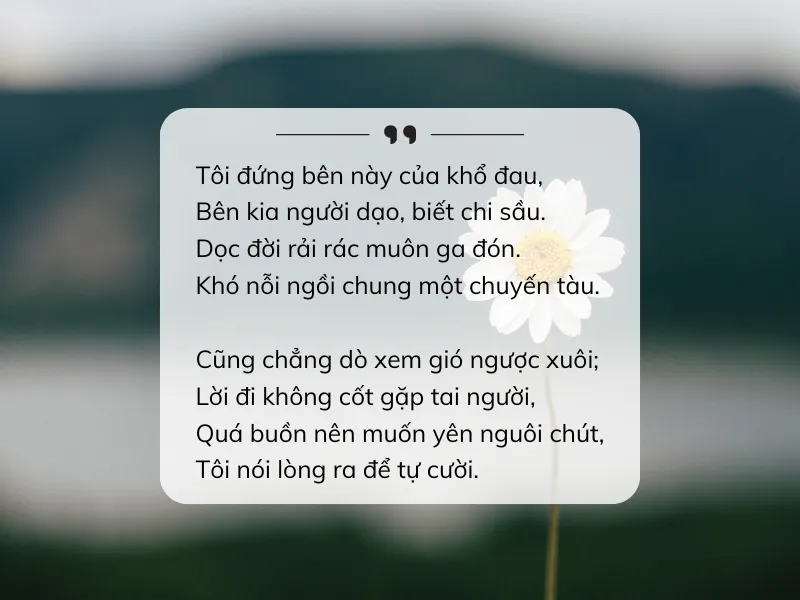 tho-huy-can-voh-4