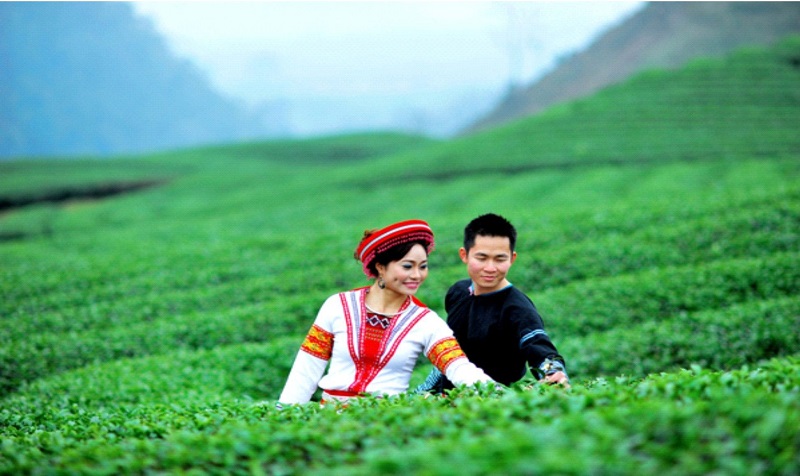 Thơ về chè Thái Nguyên