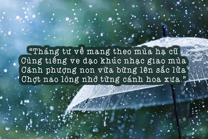 Tuyển tập thơ về mùa hè khiến ta bồi hồi với những ký ức xưa 6