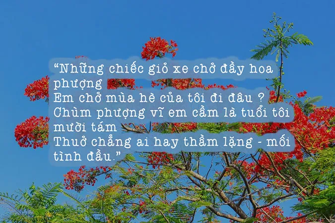 Tuyển tập thơ về mùa hè khiến ta bồi hồi với những ký ức xưa 7