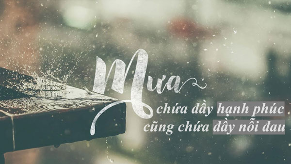 Những bài thơ về mưa hay nhất lay động hàng triệu trái tim
