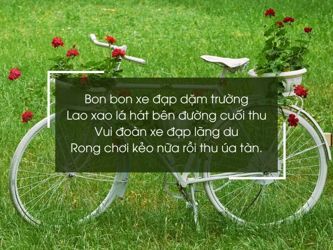tho-ve-xe-dap-voh-1