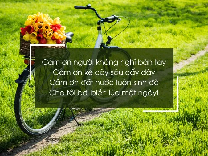 tho-ve-xe-dap-voh-2