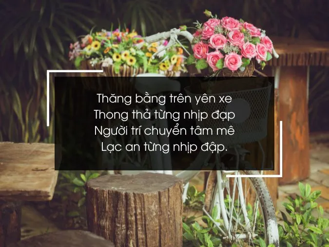 tho-ve-xe-dap-voh-3