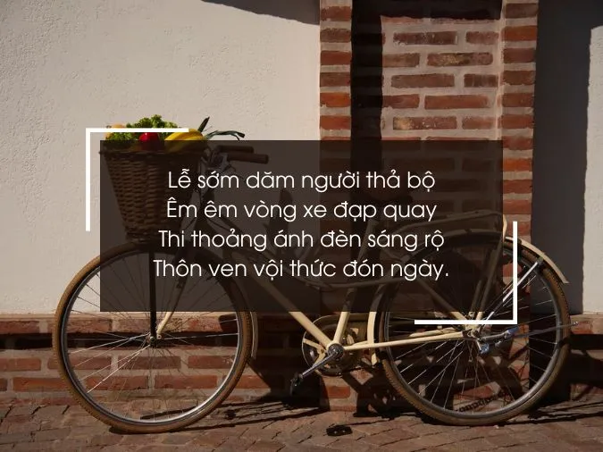 tho-ve-xe-dap-voh-4
