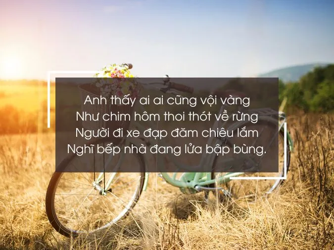 tho-ve-xe-dap-voh-5