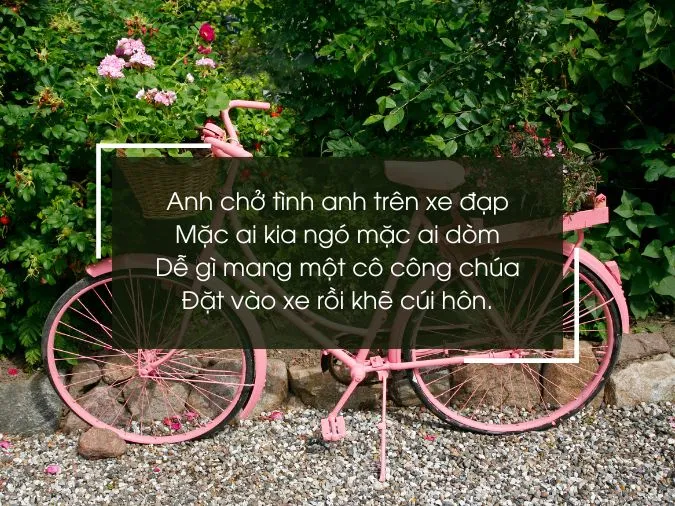 tho-ve-xe-dap-voh-6