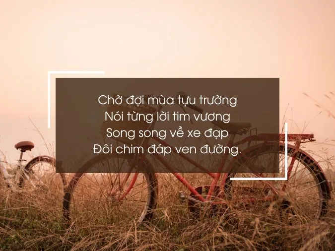 tho-ve-xe-dap-voh-7