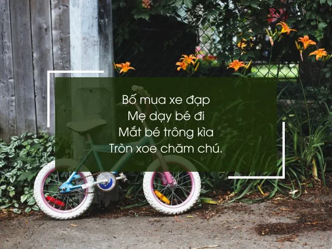 tho-ve-xe-dap-voh-8