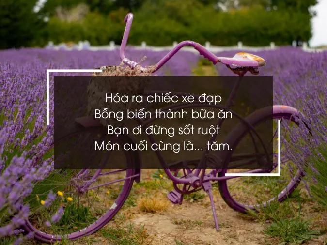 tho-ve-xe-dap-voh-9