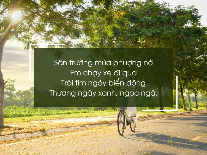 42 bài thơ về xe đạp hay, ý nghĩa và hài hước nhất