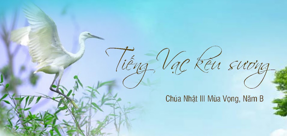 Tiếng vạc kêu sương