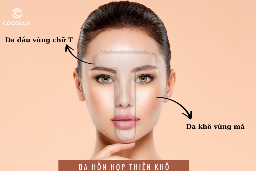 Da hỗn hợp thiên khô có vùng da khô nhiều hơn vùng da dầu